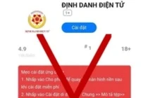 Bo Cong an canh bao thu doan lua dao cai ung dung VNeID gia mao hinh anh