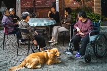 Trung Quốc muốn đảo ngược suy giảm dân số, hãy nhìn vào Thụy Điển