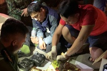 Bat nguoi dan ong van chuyen 11 kg ma tuy hinh anh