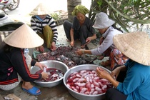 Chuot dong Campuchia 50.000 dong/kg vuot bien ve Viet Nam hinh anh
