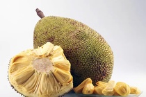 15 loi ich cua trai mit ma ban khong ngo toi hinh anh