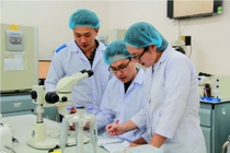 Hoc phi khoa Y cua DH Quoc gia TP.HCM tang 10%, cao nhat 88 trieu/nam hinh anh