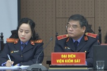 VKS neu can cu buoc toi cuu chu tich AIC Nguyen Thi Thanh Nhan hinh anh