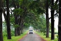 Ve dep binh yen cua pho nui Gia Lai hinh anh