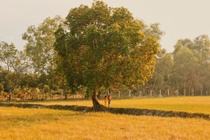 An Giang anh 1