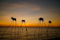 Check-in Phu Quoc anh 1
