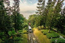 Khu bao ton co rung nhiet doi trieu nam tuoi o Malaysia hinh anh