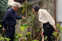 Ha Noi canh bao sot xuat huyet co nguy co bung phat thanh dich hinh anh