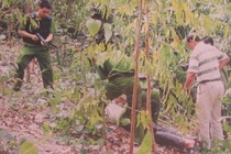 Canh sat truy na gop binh yen mua xuan hinh anh