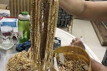 Gia đình phó phòng tài nguyên ở Cà Mau báo mất gần 30 lượng vàng