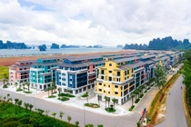 Sau DIG, đến lượt CEO họp cổ đông bất thành