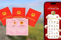 So do tren VNeID chinh thuc thay the ban giay trong thu tuc hanh chinh hinh anh