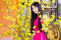 Nam 2016 nguoi lao dong duoc nghi 22 ngay le, Tet hinh anh