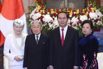Nha vua va Hoang hau Nhat vui mung khi lan dau tham Viet Nam hinh anh