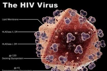 Lieu phap dao phan tu hy vong dieu tri dut diem HIV/AIDS hinh anh