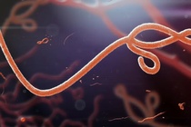 Nhung virus nguy hiem nhat tung khien the gioi chao dao hinh anh