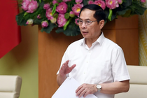 Pho thu tuong Bui Thanh Son nhan them nhiem vu moi hinh anh