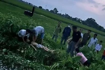 Ba hoc sinh o Ha Noi bi dien giat khi go dieu, mot em tu vong hinh anh