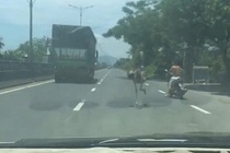 Da dieu chay tren quoc lo 1A hinh anh