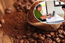 Ca phe Chau Thanh 'chi 9 - 10% la hat ca phe' hinh anh