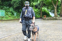 Huy dong cho nghiep vu tim du khach mat tich trong rung Cuc Phuong hinh anh