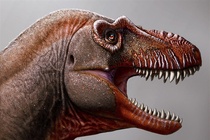 Phát hiện 'anh em' của khủng long bạo chúa T. rex