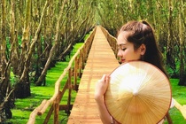 Cau tre xuyen rung dai nhat Viet Nam nam o dau? hinh anh