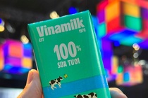 Vinamilk giu khoi 'tien tuoi' gan 1 ty USD hinh anh