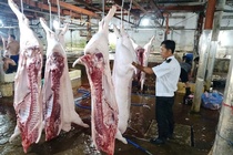 Lo sai pham kiem soat tai lo mo heo cho Cong ty C.P. Viet Nam hinh anh