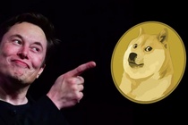 Giá Dogecoin tăng vọt sau thông điệp của Elon Musk và CEO Twitter
