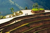 Tuyet tac ruong bac thang Hoang Su Phi mua nuoc do hinh anh