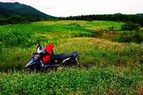 Phượt đường rừng và đèo dài 250 km từ TP.HCM đi Phan Thiết