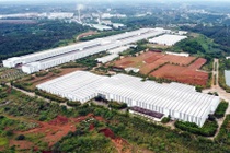 Tinh co 'kho bau' lon nhat nuoc muon giu lai 50% nguon thu khoang san hinh anh