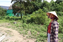 Nghe An ly giai bang gia dat moi cao hon 10 lan hinh anh