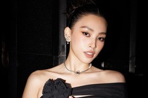 Tieu Vy bi don yeu ong Dang Le Nguyen Vu va thu doan tin gia showbiz hinh anh