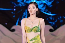 Tranh cai nguoi dep tu nhan la 'Hoa hau Sieu quoc gia Viet Nam' hinh anh