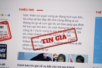 Xu phat den 50 trieu dong khi phat tan tin gia tren mang hinh anh