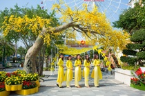Le hoi Mai vang sac xuan - diem vui Tet soi dong tai Da Nang hinh anh