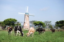 Loi nhuan Vinamilk xuong thap nhat 18 quy hinh anh