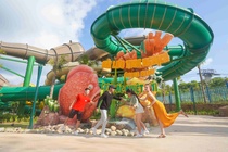 Cong vien nuoc chu de Aquatopia Water Park chinh thuc khai truong hinh anh