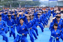 Vovinam va nhung mon hoc dac biet tai DH FPT hinh anh