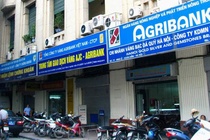 Bat nguyen uy vien Hoi dong thanh vien Ngan hang Agribank hinh anh