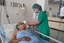 Cụ bà bị ong đốt 200 mũi 'thập tử nhất sinh'