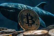 ‘Ca voi tien su’ thuc giac lam Bitcoin sap gia hinh anh