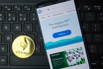 Bong bóng 'Bitcoin nghệ thuật' bắt đầu vỡ