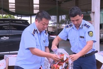 Tieu huy gan 2.000 goi bim bim gia mao nhan hieu 'tam cay Ba Tuyet' hinh anh
