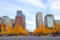 Tokyo loay hoay voi tham vong tro thanh trung tam tai chinh toan cau hinh anh