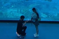 Nam ky su cau hon o thuy cung vi ban gai ten la Thuy hinh anh