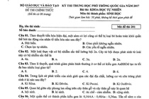 Bo GD&DT cong bo de thi cac mon to hop Khoa hoc tu nhien hinh anh