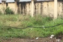 Học sinh bị điện giật, hiệu trưởng phải chịu trách nhiệm chính